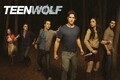 Teen Wolf Poster Tyler Posey,Crystal Reed,Tyler